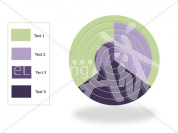 Circle Chart Graphic in PowerPoint