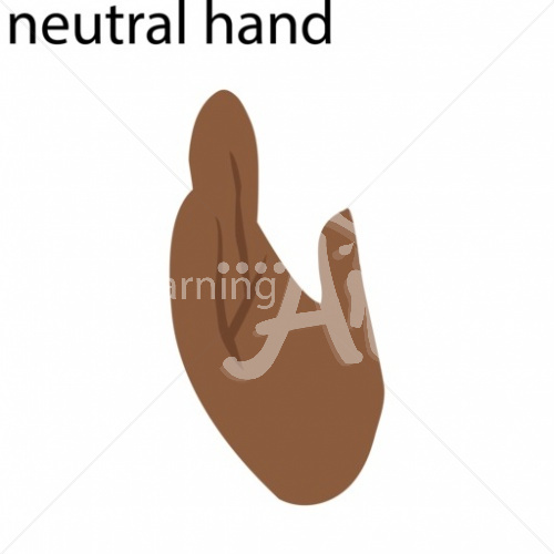 Neutral African American ASL Hand Sign with Letter Nuetral