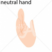Neutral Caucasian ASL Hand Sign with Letter Neutral
