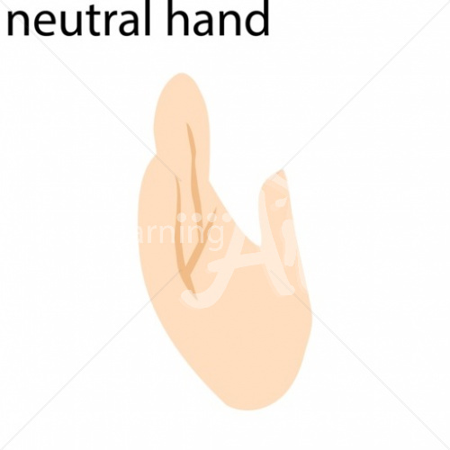 Neutral Asian ASL Hand Sign with Letter Neutral