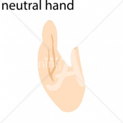 Neutral Asian ASL Hand Sign with Letter Neutral